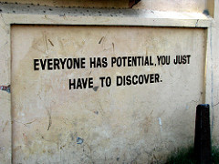 Discover potential